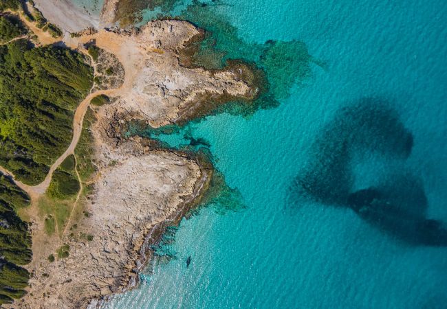 Villa en Alcúdia - Villa El Mal Pas / Can Seguinet Villa en Alcúdia - Villa El Mal Pas / Can Seguinet