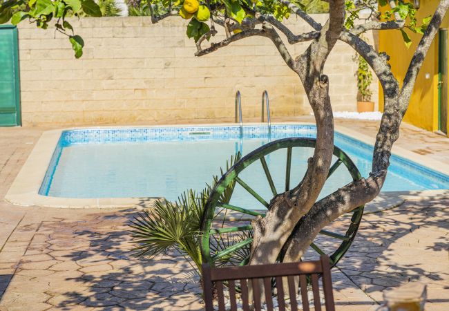 Villa en Alcúdia - Villa El Mal Pas / Can Seguinet Villa en Alcúdia - Villa El Mal Pas / Can Seguinet