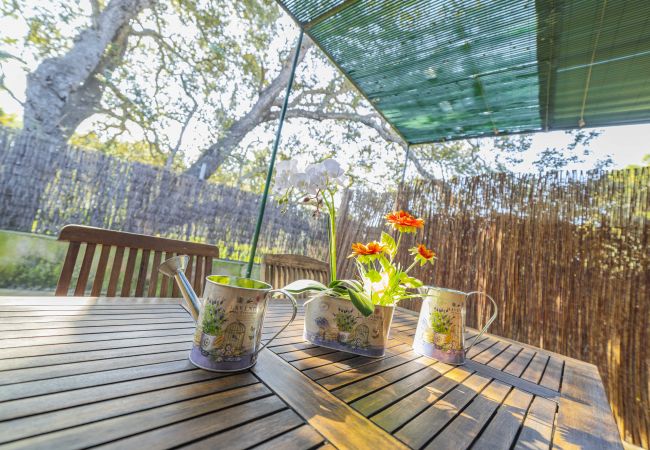 Villa en Alcúdia - Villa El Mal Pas / Can Seguinet Villa en Alcúdia - Villa El Mal Pas / Can Seguinet