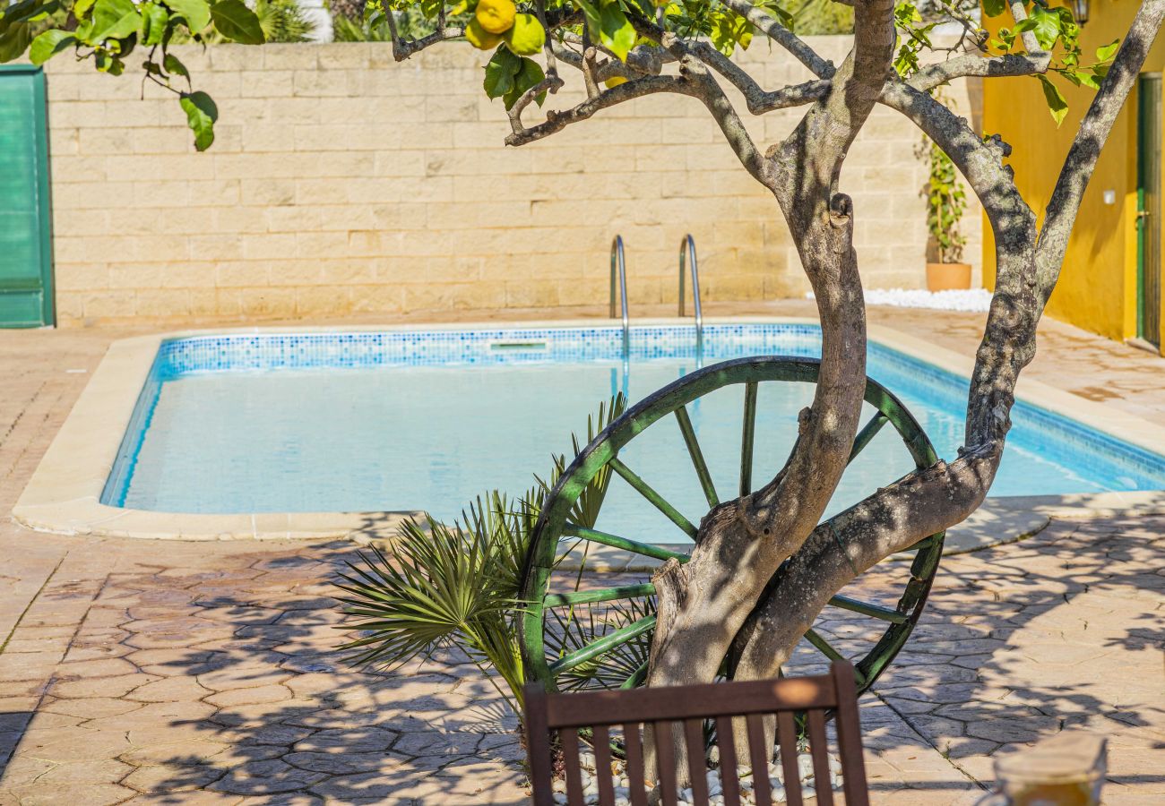 Villa en Alcúdia - Villa El Mal Pas / Can Seguinet Villa en Alcúdia - Villa El Mal Pas / Can Seguinet