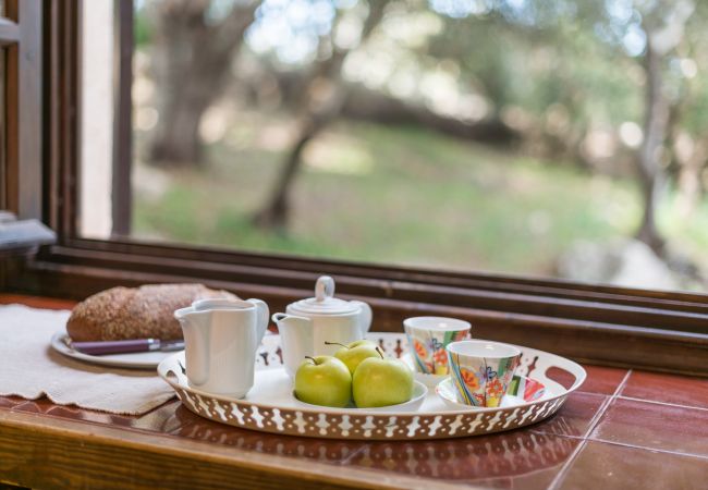 Villa en Pollensa - Villa Hidden Retreat / Denga Villa en Pollensa - Villa Hidden Retreat / Denga