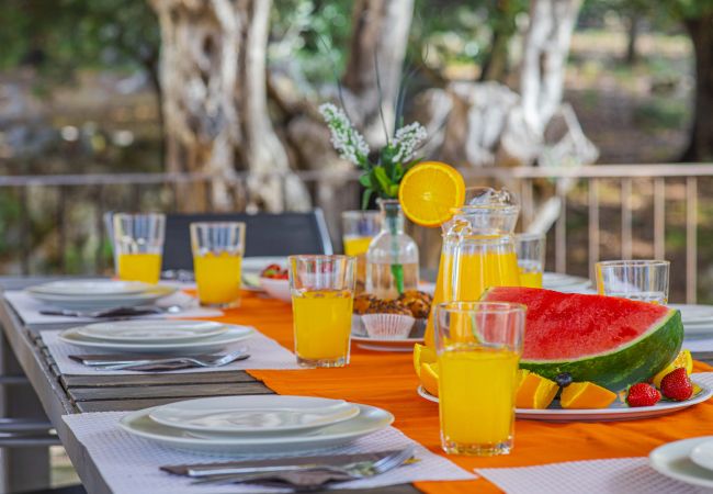 Villa en Pollensa - Villa Hidden Retreat / Denga Villa en Pollensa - Villa Hidden Retreat / Denga