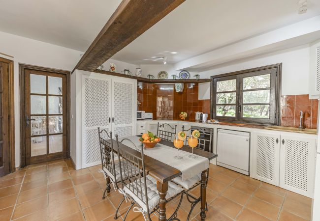 Villa en Pollensa - Villa Hidden Retreat / Denga Villa en Pollensa - Villa Hidden Retreat / Denga