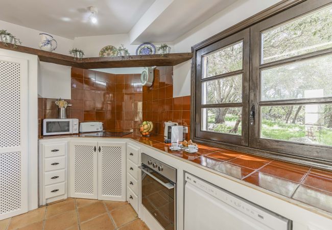 Villa en Pollensa - Villa Hidden Retreat / Denga Villa en Pollensa - Villa Hidden Retreat / Denga