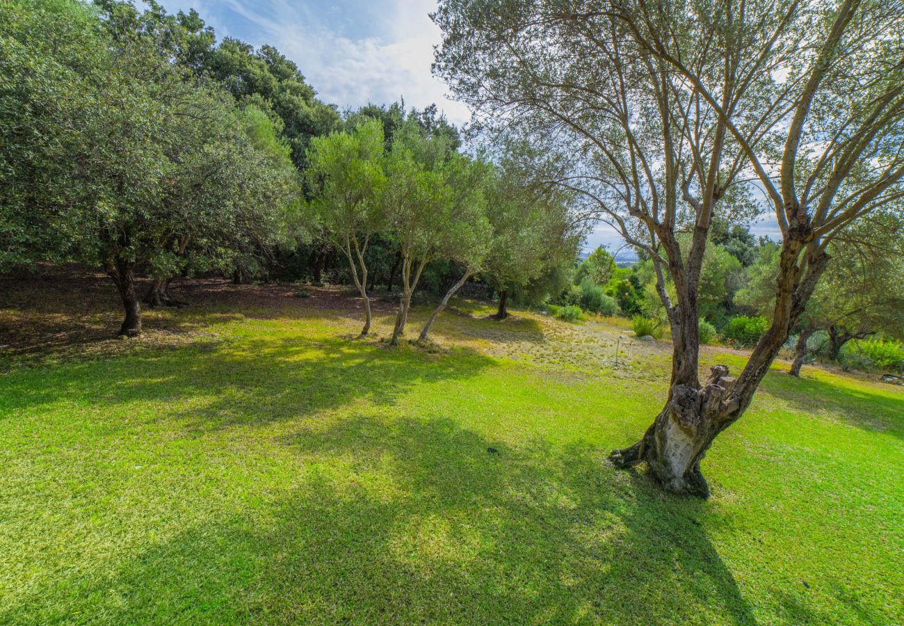 Villa en Pollensa - Villa Hidden Retreat / Denga Villa en Pollensa - Villa Hidden Retreat / Denga