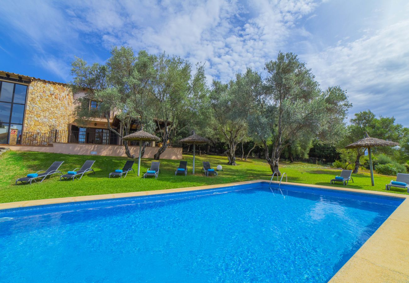 Villa en Pollensa - Villa Hidden Retreat / Denga Villa en Pollensa - Villa Hidden Retreat / Denga