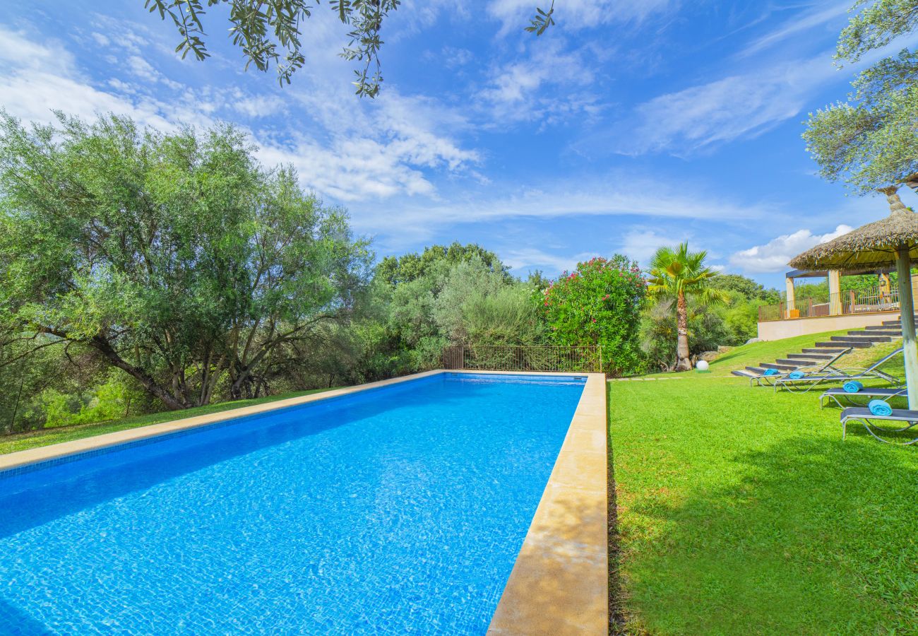 Villa en Pollensa - Villa Hidden Retreat / Denga Villa en Pollensa - Villa Hidden Retreat / Denga