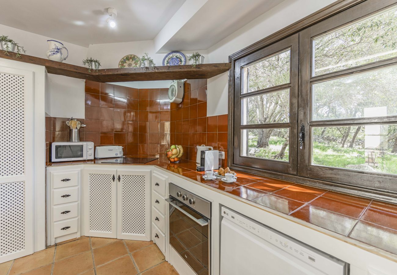 Villa en Pollensa - Villa Hidden Retreat / Denga Villa en Pollensa - Villa Hidden Retreat / Denga