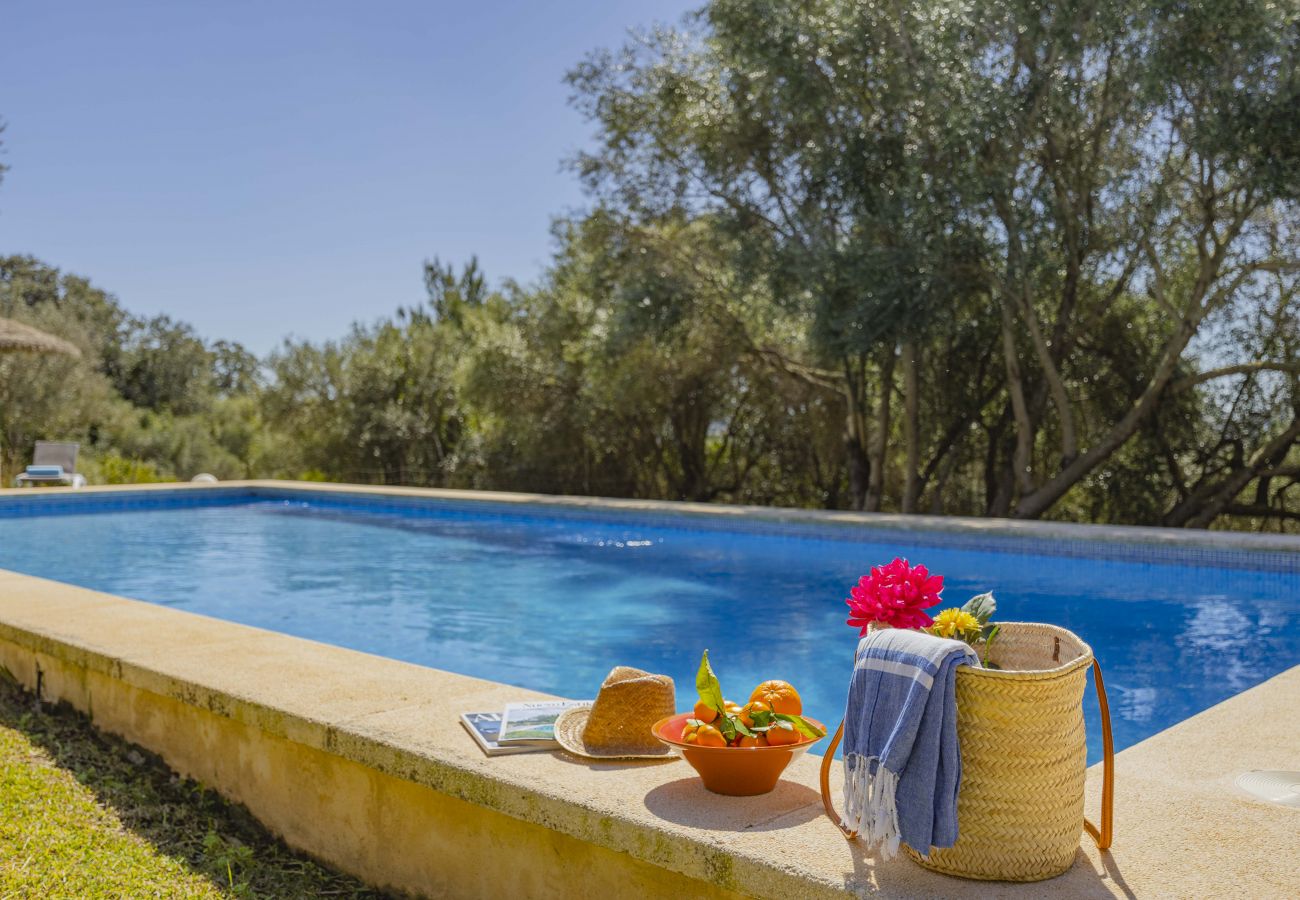 Villa en Pollensa - Villa Hidden Retreat / Denga Villa en Pollensa - Villa Hidden Retreat / Denga