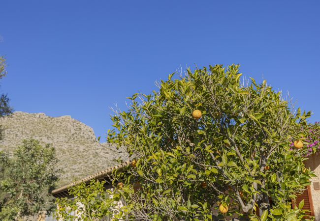 Villa en Pollensa - Casa Tonina Villa en Pollensa - Casa Tonina