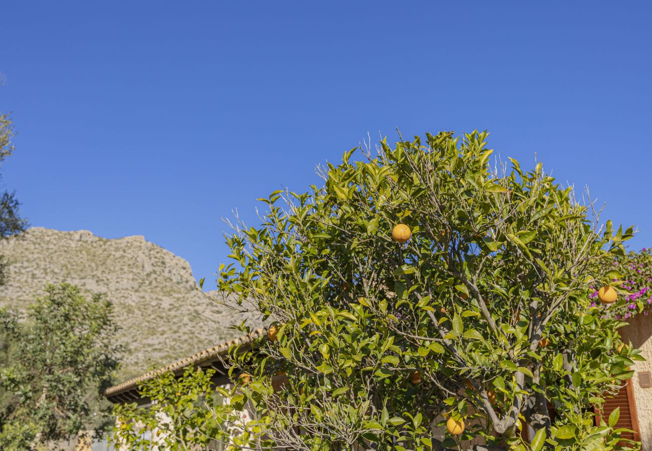 Villa en Pollensa - Casa Tonina Villa en Pollensa - Casa Tonina