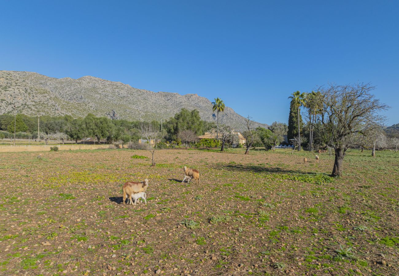 Villa en Pollensa - Casa Tonina Villa en Pollensa - Casa Tonina