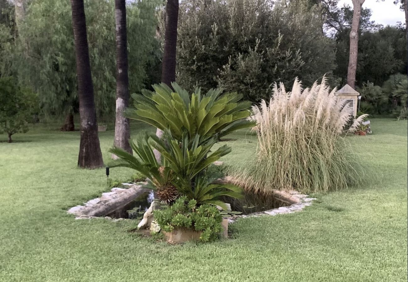 Villa en Pollensa - Villa Barrio Villa en Pollensa - Villa Barrio