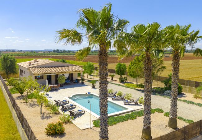 Villa en Campanet - Villa Can Melis