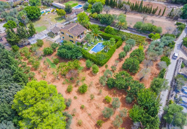 Villa in Alcudia - Villa Olivers Vera Villa in Alcudia - Villa Olivers Vera