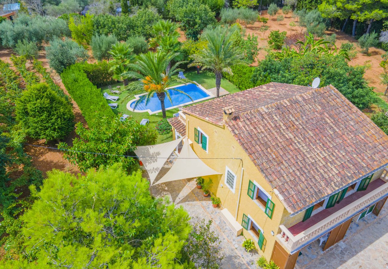 Villa in Alcudia - Villa Olivers Vera Villa in Alcudia - Villa Olivers Vera