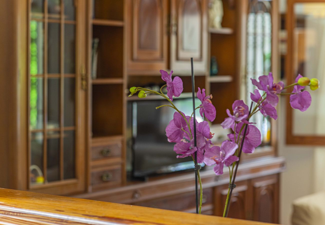 Villa in Alcudia - Villa Olivers Vera Villa in Alcudia - Villa Olivers Vera