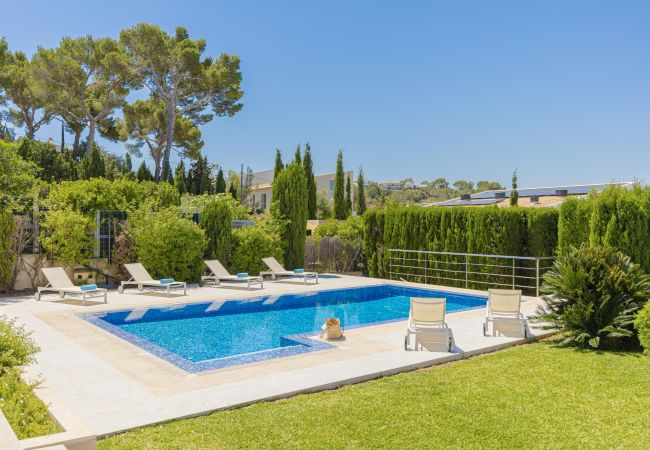 Villa in Alcudia - Villa Garau / Heura 8 Villa in Alcudia - Villa Garau / Heura 8