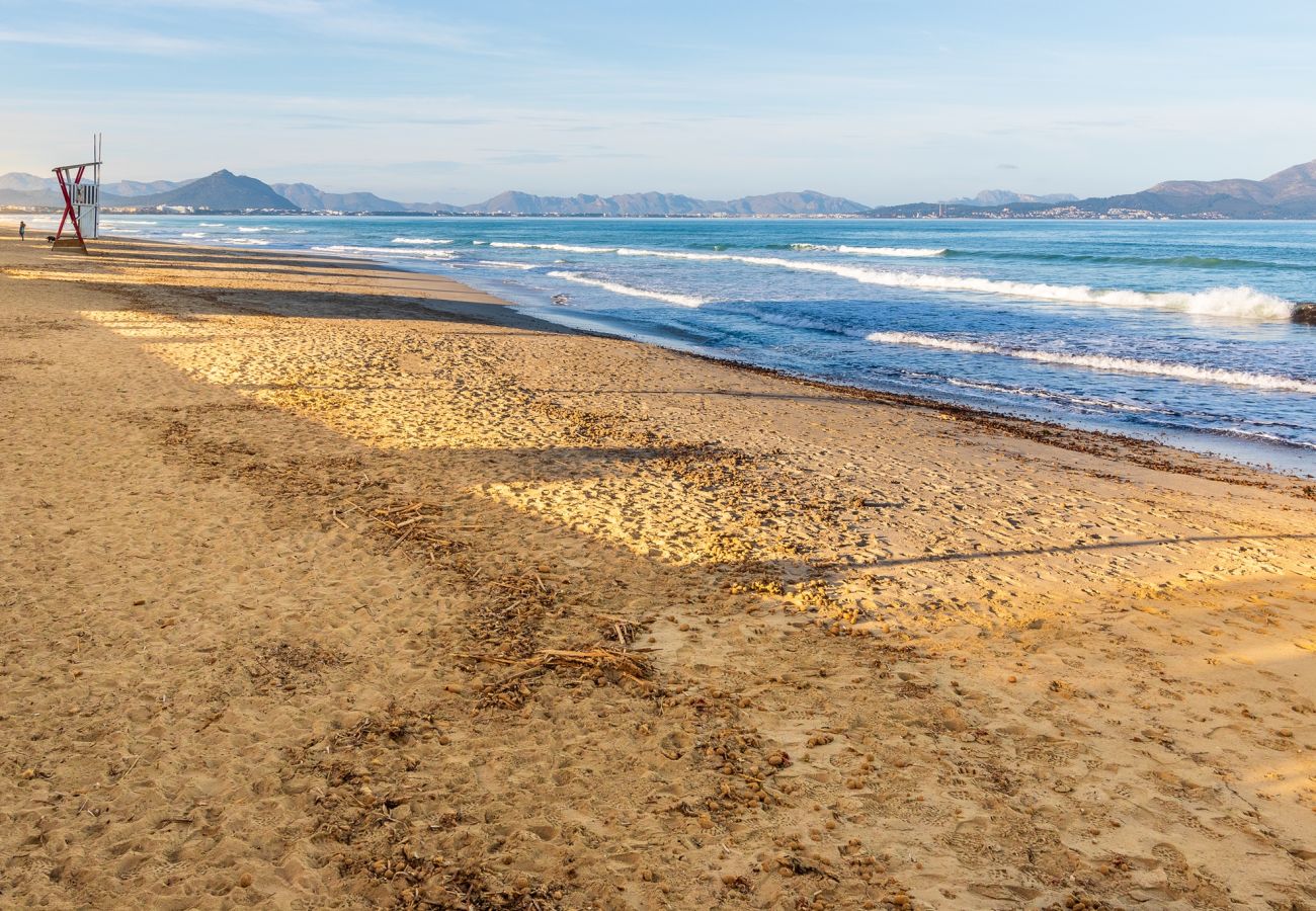 Ferienwohnung in Can Picafort - Apartamento Castello Playa Ferienwohnung in Can Picafort - Apartamento Castello Playa