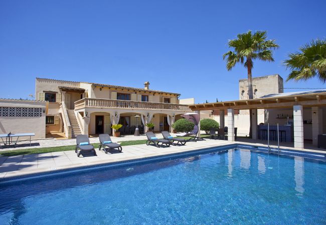 Villa in Alcudia - Villa Catalina