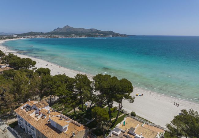 Ferienwohnung in Puerto de Alcudia - Apartamento Beachfront Sonrisas Ferienwohnung in Puerto de Alcudia - Apartamento Beachfront Sonrisas