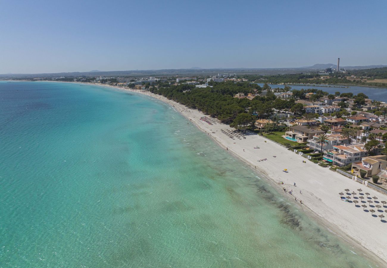 Ferienwohnung in Puerto de Alcudia - Apartamento Beachfront Sonrisas Ferienwohnung in Puerto de Alcudia - Apartamento Beachfront Sonrisas