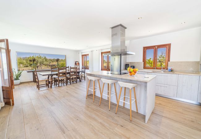 Villa in Alcudia - Villa Can Segue Villa in Alcudia - Villa Can Segue