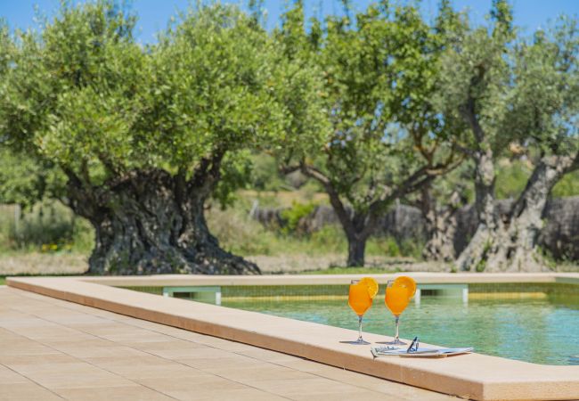 Villa in Alcudia - Villa Can Segue Villa in Alcudia - Villa Can Segue