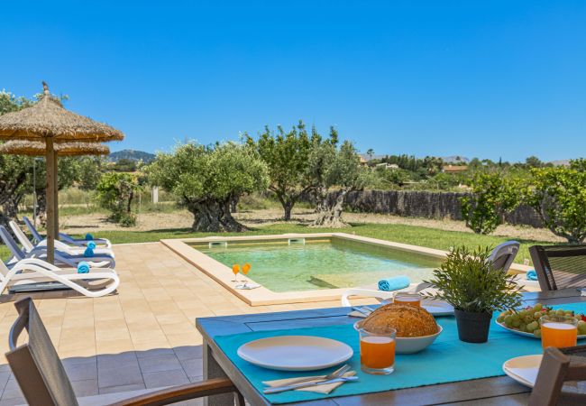 Villa in Alcudia - Villa Can Segue Villa in Alcudia - Villa Can Segue