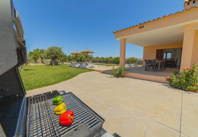 Villa in Alcudia - Villa Can Segue Villa in Alcudia - Villa Can Segue
