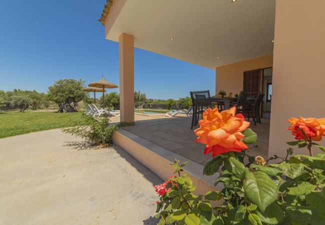 Villa in Alcudia - Villa Can Segue Villa in Alcudia - Villa Can Segue