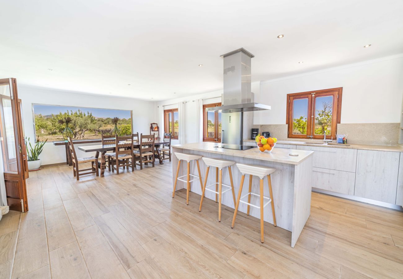 Villa in Alcudia - Villa Can Segue Villa in Alcudia - Villa Can Segue