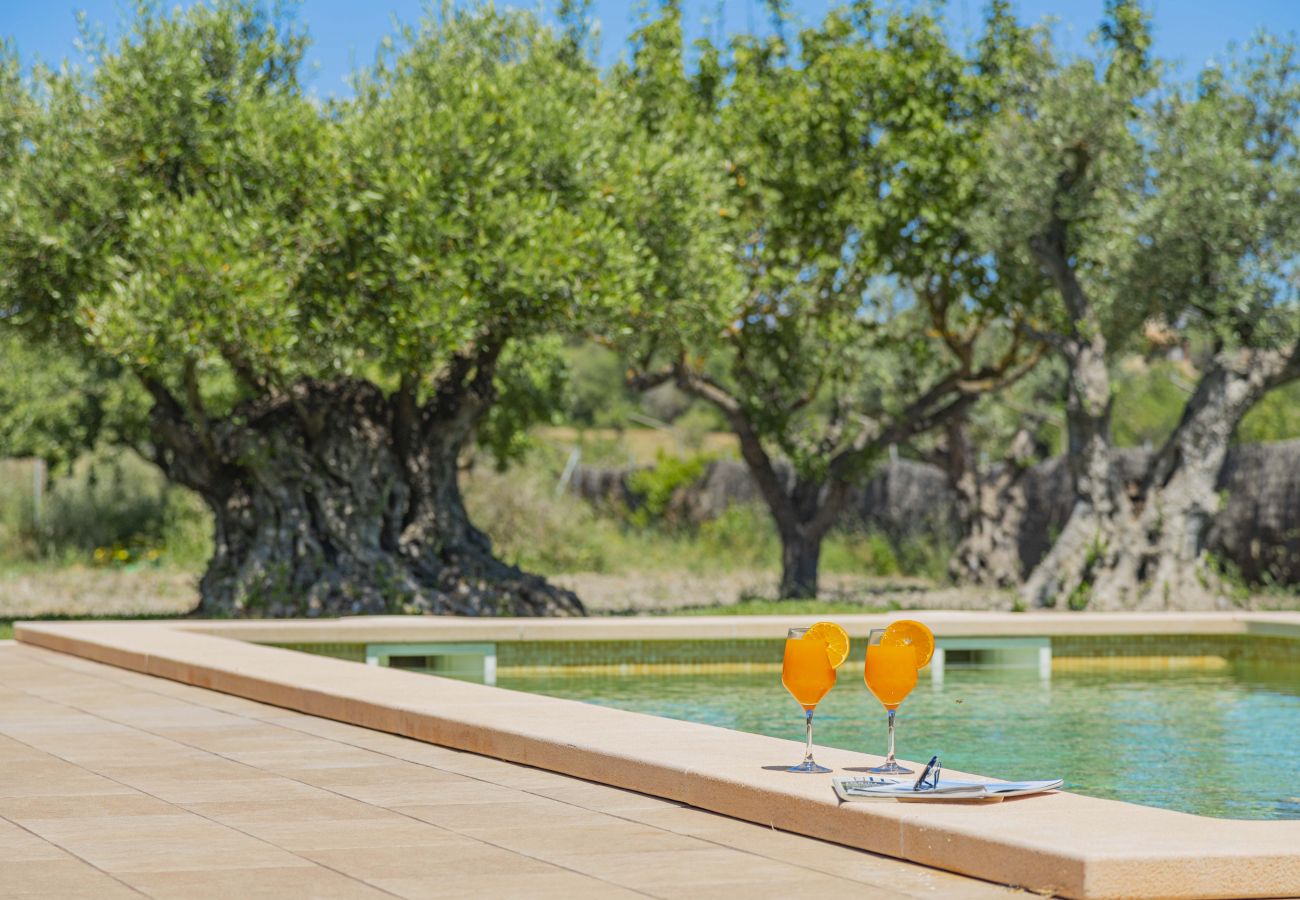 Villa in Alcudia - Villa Can Segue Villa in Alcudia - Villa Can Segue