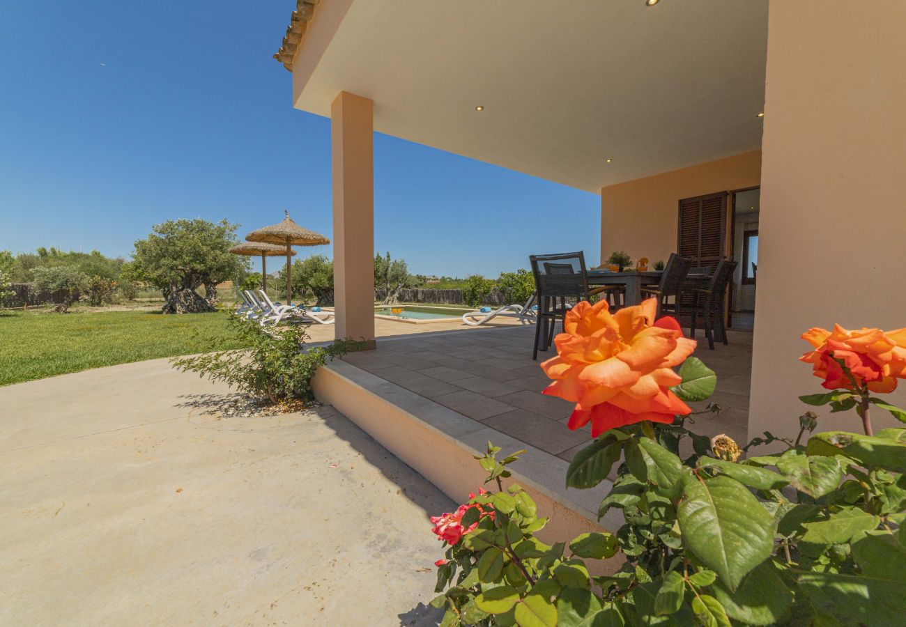 Villa in Alcudia - Villa Can Segue Villa in Alcudia - Villa Can Segue