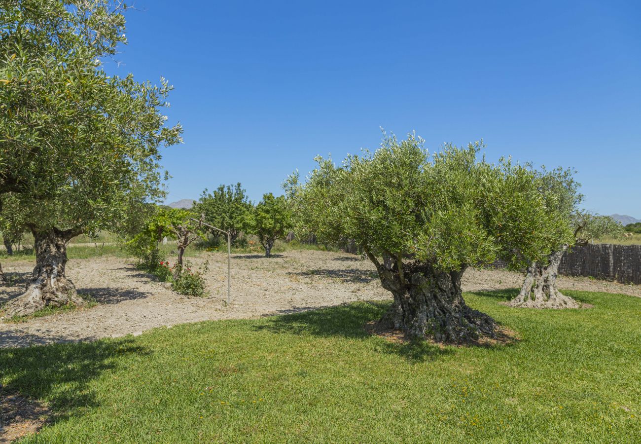 Villa in Alcudia - Villa Can Segue Villa in Alcudia - Villa Can Segue