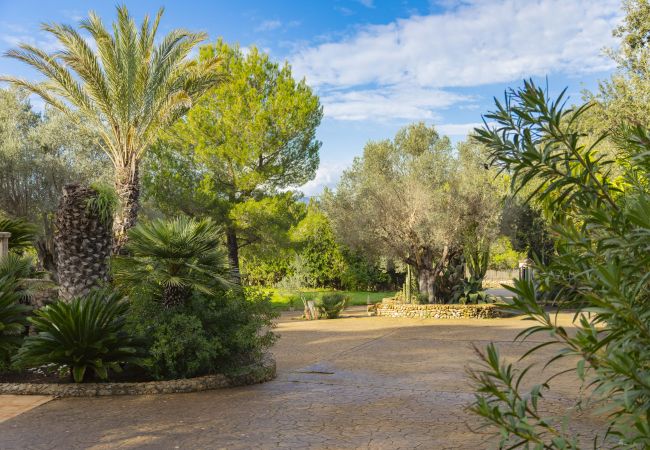 Villa in Alcudia - Villa Can Emmes Villa in Alcudia - Villa Can Emmes