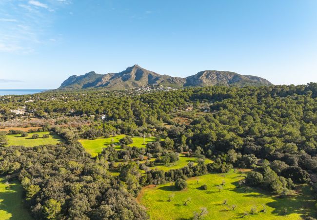 Villa in Alcudia - Villa Can Emmes Villa in Alcudia - Villa Can Emmes