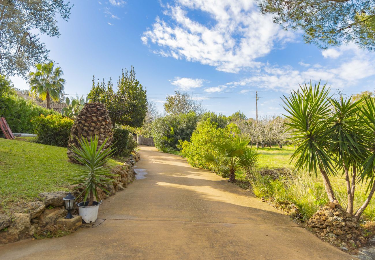 Villa in Alcudia - Villa Can Emmes Villa in Alcudia - Villa Can Emmes