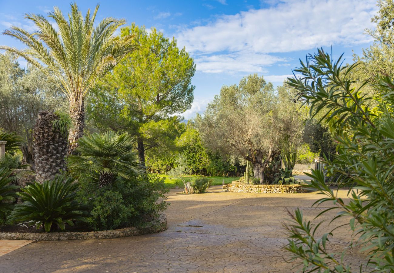 Villa in Alcudia - Villa Can Emmes Villa in Alcudia - Villa Can Emmes