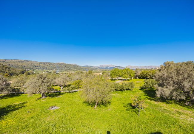 Villa in Alcudia - Villa Es Garrover Villa in Alcudia - Villa Es Garrover