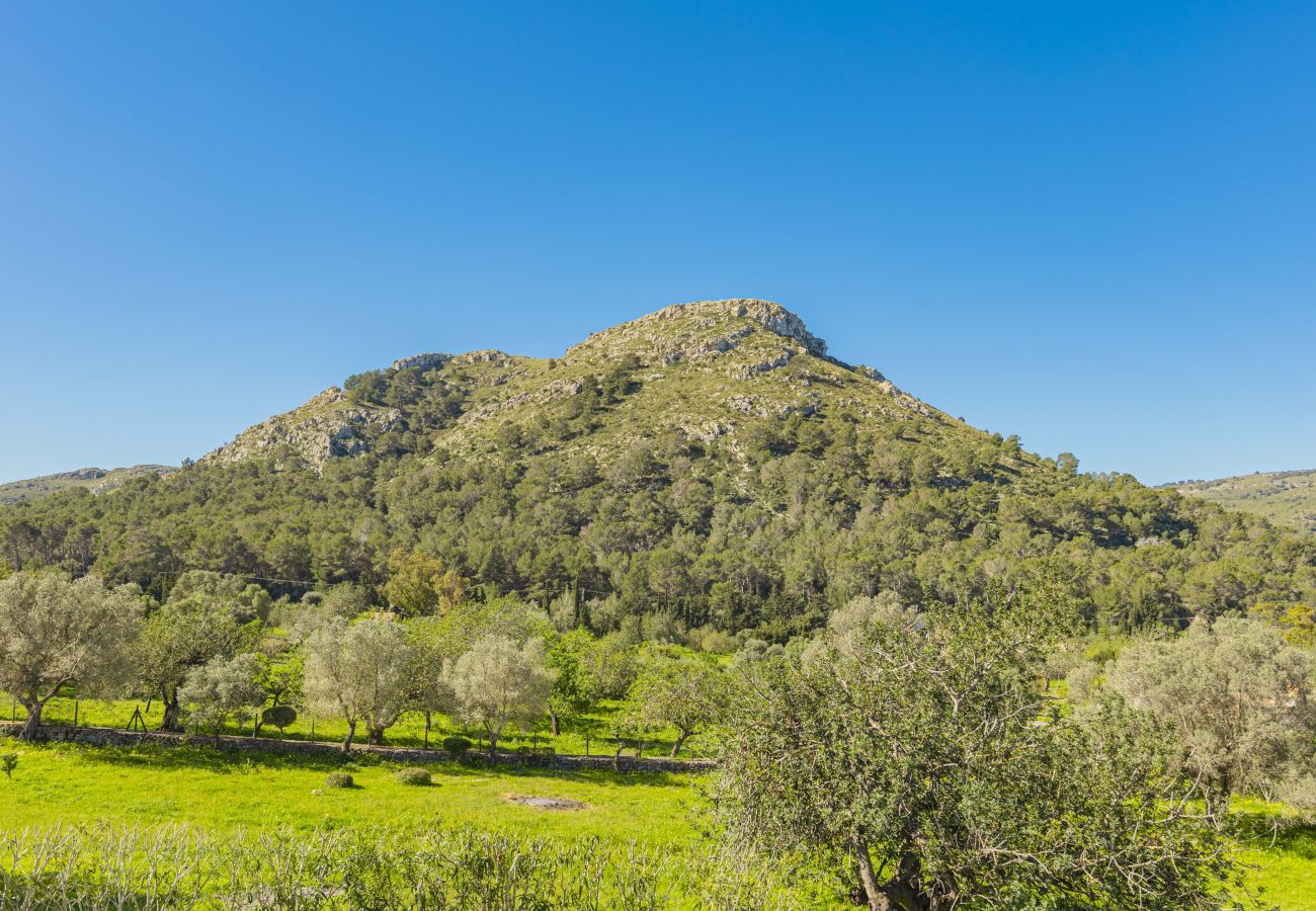 Villa in Alcudia - Villa Es Garrover Villa in Alcudia - Villa Es Garrover