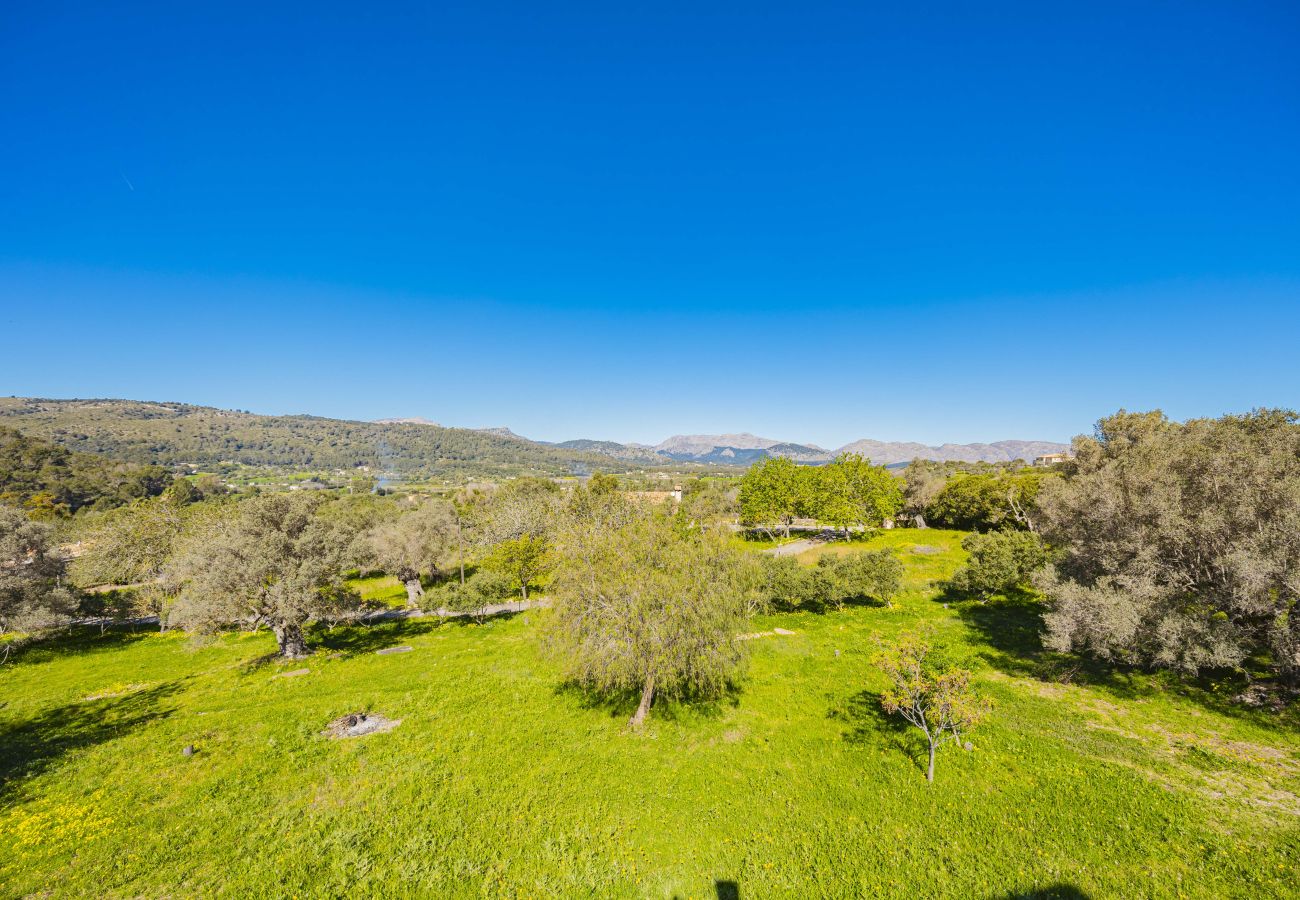 Villa in Alcudia - Villa Es Garrover Villa in Alcudia - Villa Es Garrover