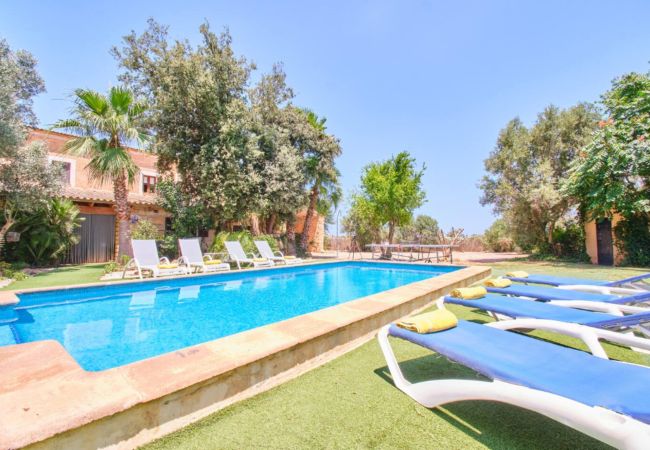 Villa in Sa Pobla - Villa Son Pou