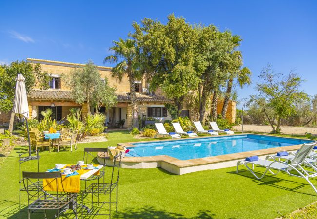 Villa in Sa Pobla - Villa Son Pou