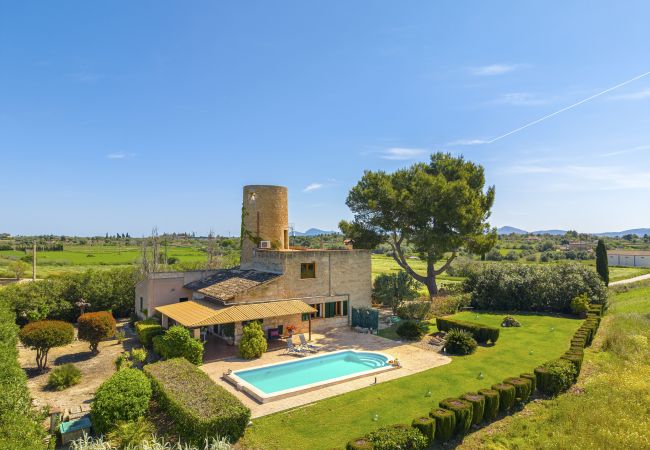 Villa in Santa Margalida - Villa Es Moli / Son Femenia
