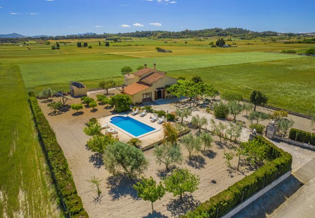 Villa in Santa Margalida - Villa Vernissa Villa in Santa Margalida - Villa Vernissa