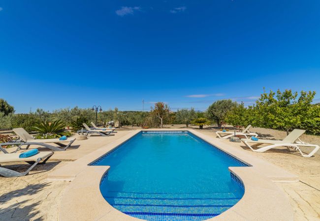 Villa in Santa Margalida - Villa Vernissa Villa in Santa Margalida - Villa Vernissa