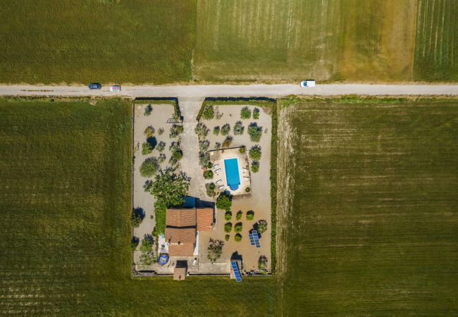 Villa in Santa Margalida - Villa Vernissa Villa in Santa Margalida - Villa Vernissa