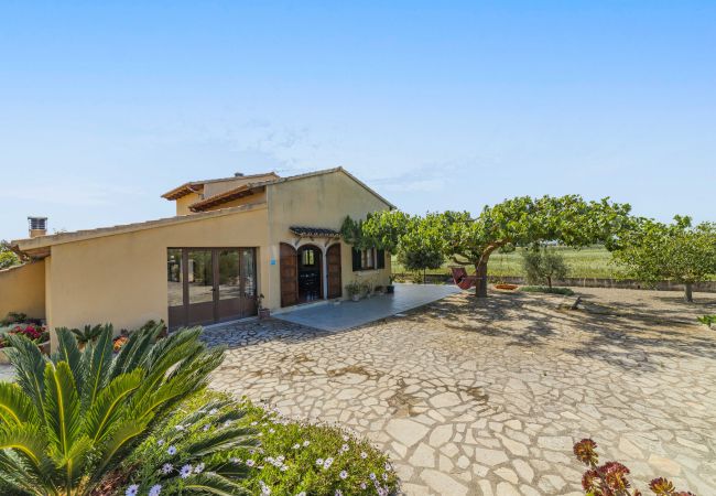 Villa in Santa Margalida - Villa Vernissa Villa in Santa Margalida - Villa Vernissa