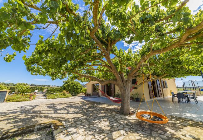 Villa in Santa Margalida - Villa Vernissa Villa in Santa Margalida - Villa Vernissa